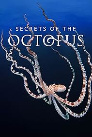 Subtitrare  Secrets of the Octopus - Sezonul 1 (2024)