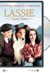 Subtitrare Lassie Come Home (1943)