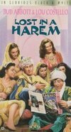 Subtitrare Lost in a Harem (1944)