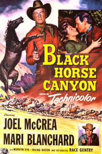 Subtitrare Black Horse Canyon (1954)