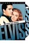 Subtitrare Viva Las Vegas (1964)