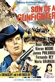 Subtitrare Son of a Gunfighter (1965)