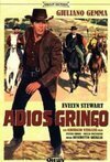 Subtitrare Adios gringo (1965)