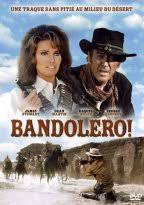 Subtitrare Bandolero! (1968)