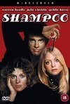 Subtitrare Shampoo (1975)