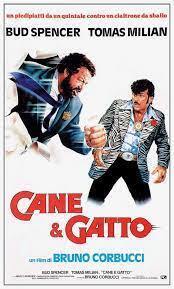 Subtitrare Thieves and Robbers aka Cane e gatto (1982)