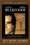 Subtitrare My Left Foot: The Story of Christy Brown (1989)