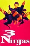 Subtitrare 3 Ninjas (1992)