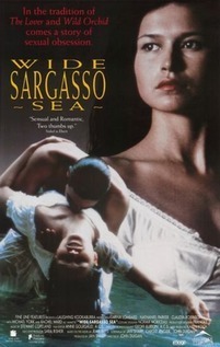 Subtitrare Wide Sargasso Sea (1993)