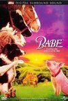 Subtitrare Babe (1995)