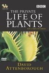Subtitrare Private Life of Plants, The (1995)