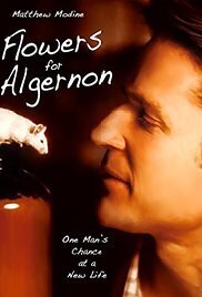 Subtitrare Flowers for Algernon (2000) (TV)