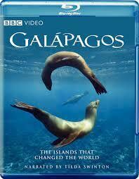 Subtitrare BBC Galapagos (2006)