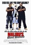 Subtitrare Malibu's Most Wanted (2003)