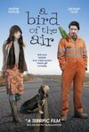 Subtitrare A Bird of the Air (2011)