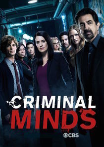 Subtitrare Criminal Minds - Sezonul 9 (2005)