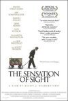 Subtitrare The Sensation of Sight (2006)