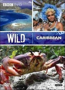 Subtitrare Wild Caribbean (2007)