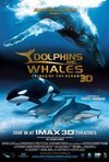 Subtitrare Dolphins and Whales 3D: Tribes of the Ocean (2008)
