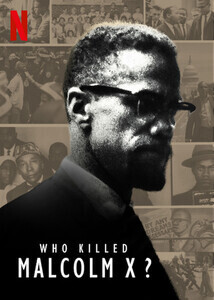 Subtitrare Who Killed Malcolm X? - Sezonul 1 (2020)