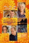 Subtitrare The Best Exotic Marigold Hotel (2011)