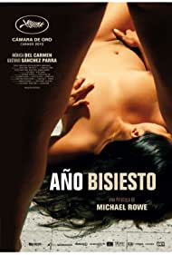 Subtitrare Ano bisiesto (Leap Year) (2010)
