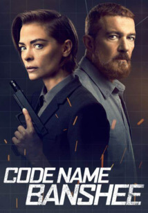 Subtitrare Code Name Banshee (2022)