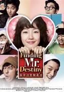 Subtitrare Finding Mr Destiny (2010)