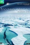 Subtitrare BBC: Frozen Planet - Christmas Special - The Epic Journey (2011)