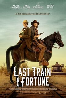 Subtitrare Last Train to Fortune (2025)