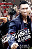 Subtitrare Kung Fu Jungle (2014)
