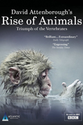 Subtitrare Rise of Animals: Triumph of the Vertebrates (2013)