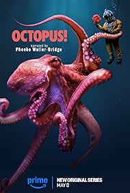 Subtitrare  Octopus! - Sezonul 1 (2025)