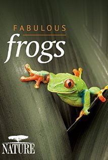 Subtitrare BBC - Natural World - Attenborough's Fabulous Frogs (2014)