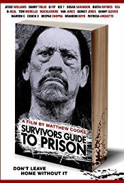 Subtitrare Survivors Guide to Prison (2018)