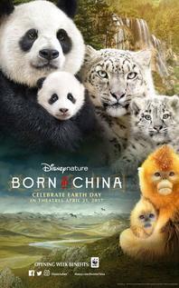 Subtitrare Born in China (2016)