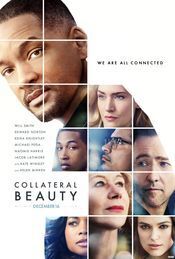 Subtitrare Collateral Beauty (2016)