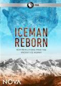 Subtitrare Iceman Reborn (2016)
