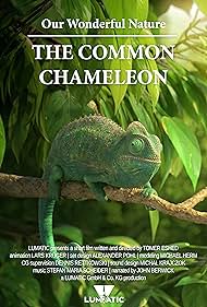 Subtitrare Our Wonderful Nature - The Common Chameleon (Short 2016)